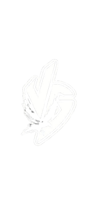 VultureGallery